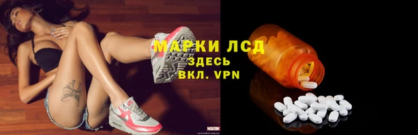 шишки Краснотурьинск