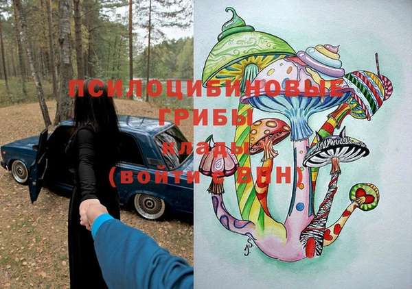 молекула духа Краснослободск