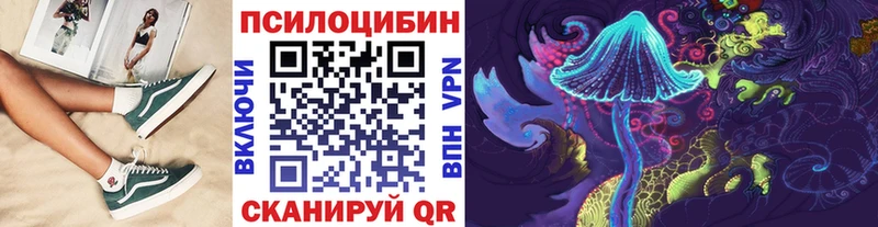 Купить закладки  Ядрин  Псилоцибиновые грибы Magic Shrooms 